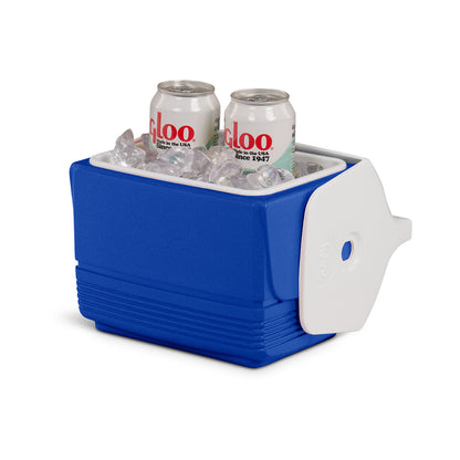 Mini Cooler